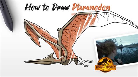 How To Draw Pteranodon Dinosaur From Jurassic World Dominion Movie Easy Step By Step Youtube