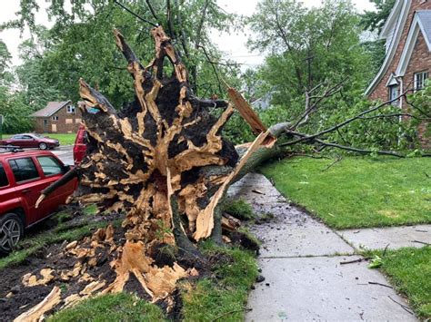 Photos Strong Storms Leave Behind Significant Damage Across Southeast