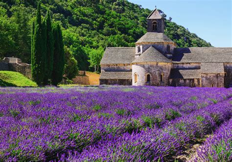 15 Best Things To Do In Provence France  Early Traveler