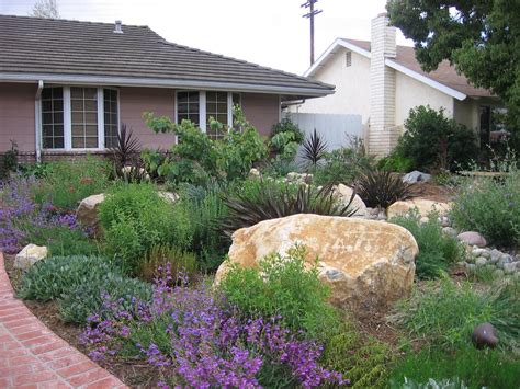 Drought Tolerant Plants California California Native Garden