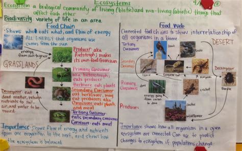 Mrs Paul Biology 10th Grade Biology Notes Charts