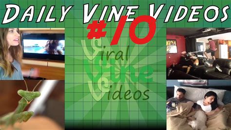 Daily Vines Compilation 10 Best Of Vine Youtube