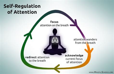 Self Regulation Of Attention Mindfulness Mindfulness Meditation