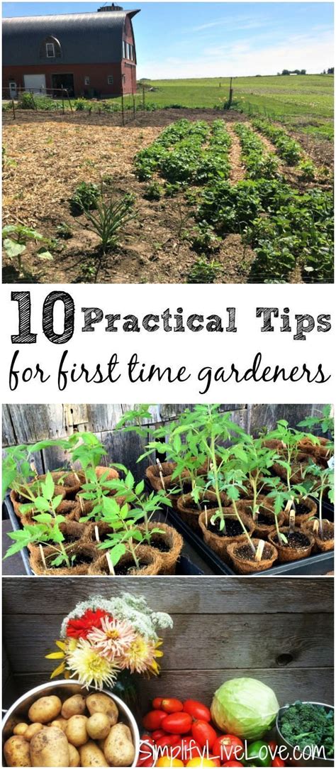 10 Practical Gardening Tips and Tricks to Help Your Garden Thrive