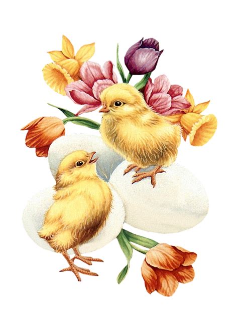 Easter Egg Chick Tulips Vintage Free Stock Photo Public Domain Pictures