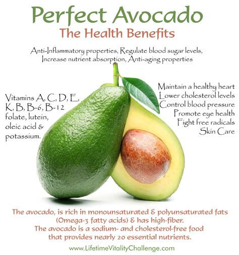 Avocados Are One Of The Healthiest Foods You Can Eat With A Creamy