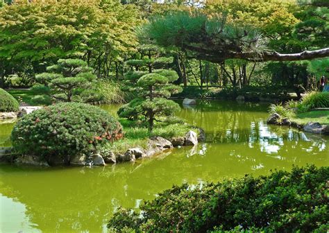 Japanische gärten wurden auch stark von der chinesischen philosophie des daoismus und des amida. Japanischer Garten Foto & Bild | deutschland, europe ...