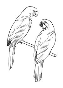 Bahan ini di ambil dari artikel berikut : Kertas Mewarna Burung untuk Kanak-kanak