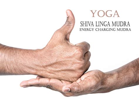Shiva Linga Mudra Meaning Benefits And Variations