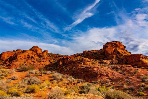 14 Best Places To See Dinosaurs In Utah Top Dino Sites