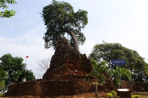 Maybe you would like to learn more about one of these? Anjuk Ladang Buka Jam Berapa / Mampir Ke Museum Anjuk ...