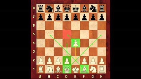 Chess for Beginners. Chess Openings #1. Opening Fundamentals. Eugene Grinis. Chess - YouTube