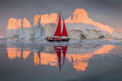 Midnight Sailing Ilulissat Icefjord Greenland Tristan Lavender Art