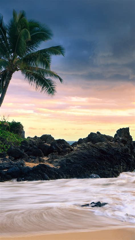 Free Download Hawaii Secret Beache Wallpapers Hd Wallpapers 1920x1200