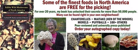 Edible Wild Mushrooms Of North America Edible Wild Mushrooms Stuffed