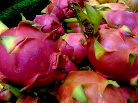 I put the cuttings in cactus mix and they have been getting water and part sun. Health Benefits and Nutritional Values of Dragon Fruit ...