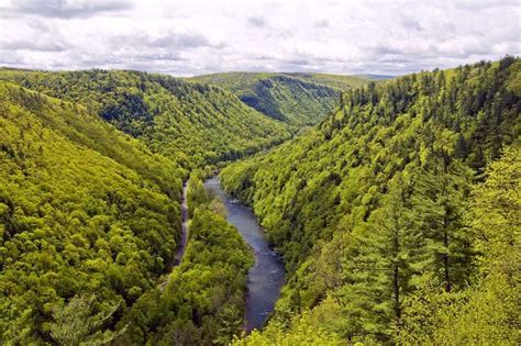 Reviews of cherry springs state park 1 person has reviewed this location. pennsylvania+grand+canyon+|+Pennsylvania's+Grand+Canyon ...