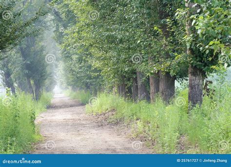 Country Lanes Stock Image Image Of Country Passageway 25761727