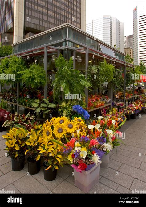 Outdoor Flower Market In Montreal Canada Stock Photo Alamy