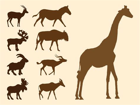 Wild Animals Silhouettes Set Vector Art & Graphics | freevector.com