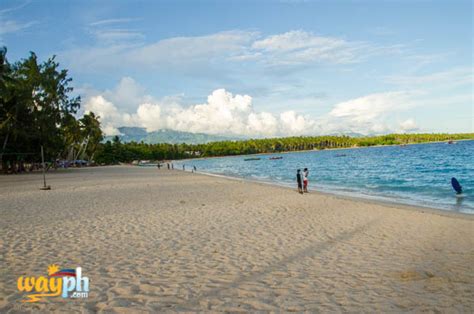 dahican beach in mati city travel guide