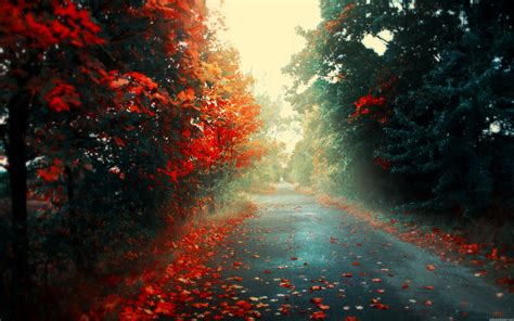 HQ Wallpapers, HD, Widescreen, Desktop Backgrounds, Image, Desktop HD