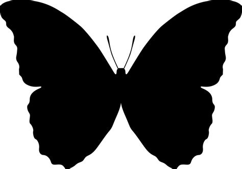 Butterfly Silhouette Vector Free Vector Cdr Download