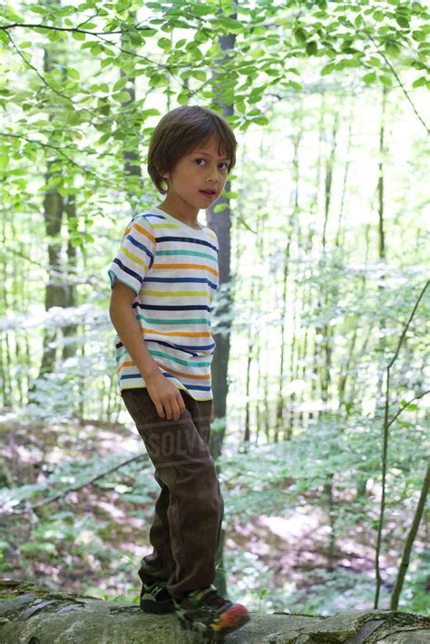 Boy In Woods Stock Photo Dissolve