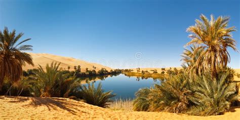 Umm Al Ma Lake Desert Oasis Sahara Libya Stock Image Image 18654103