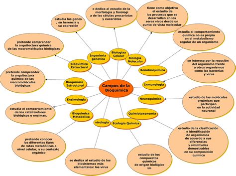 Mapa Mental De Bioquimica Educa