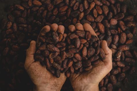 Cómo jugar cena con un famoso. ¿Por qué el café de Colombia es el más famoso?