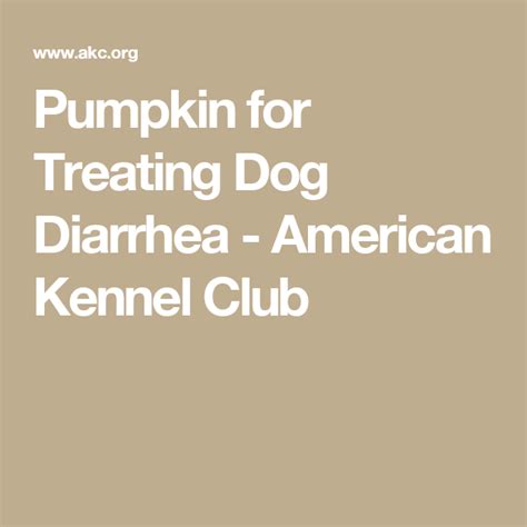 You Can Use Pumpkin To Treat Dog Diarrhea Meds For Dogs Dog Food