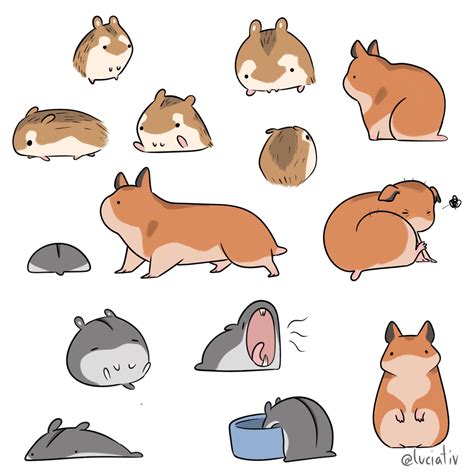 Some Hamsters I Drew For Illustration Class Enjoy Rhamsters