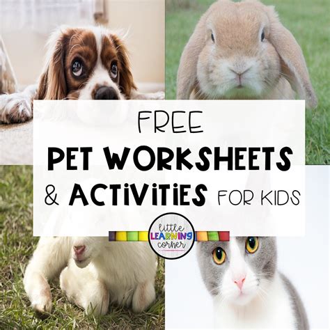 4 Free Pet Worksheets And Activities For Kids Little Learning Corner