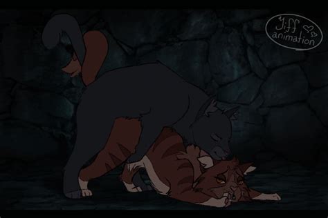 Post 3883732 Animated Crowfeather Leafpool Warriorcats Yiffanimations