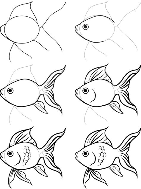 Drawing Of Simple Fish 10 Step By Step Lessons Part 3