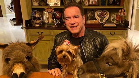 Where Does Arnold Schwarzenegger Live Photos Inside La Home