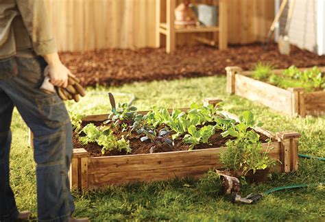 After this time has passed, remove the seeds and wash them thoroughly (you want the oily feel to be gone). Tips to Planting Vegetable Seeds at The Home Depot