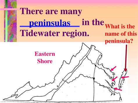 Ppt Maps And Regions Tidewater And Piedmont Regions Powerpoint