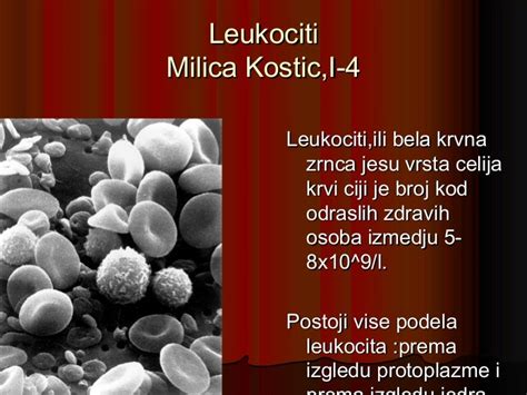 Prezentacija Leukociti