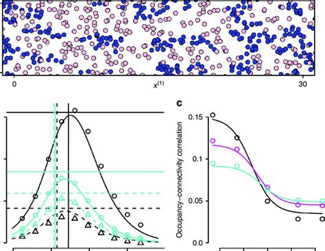 Occupancy-connectivity correlation in the dynamic landscape