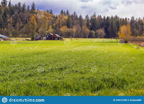 Beautiful Scenery On The Farmland During Spring In Overcast Day Stock