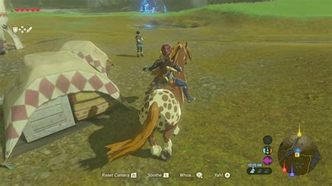 How To Tame A Horse And Name It In The Legend Of Zelda Breath Of The