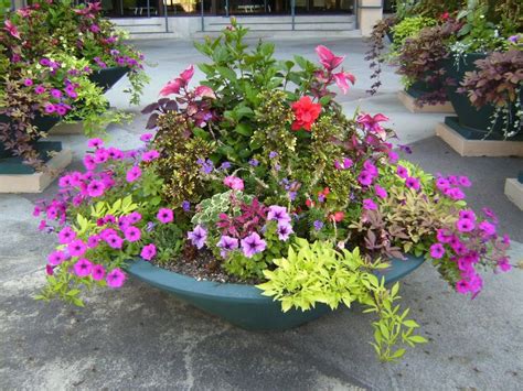Perfect for the shade garden, its refreshing plant palette of green and white plants provides a cooling and pleasing effect. 17 Best images about Partial Shade Garden on Pinterest ...