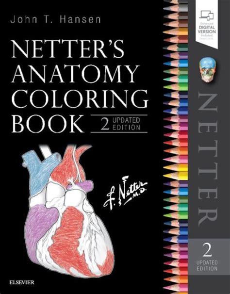 Netters Anatomy Coloring Book Second Edition Updated Netter Basic