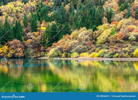 Five Flower Lake In Jiuzhaigou Valley Stock Image Image Of Reflect