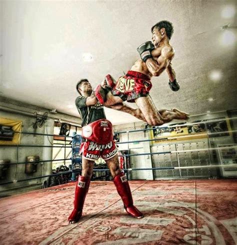 muay thai Муай тай Боевые искусства Спорт