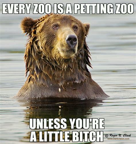 Every Zoo Is A Petting Zoo Funny