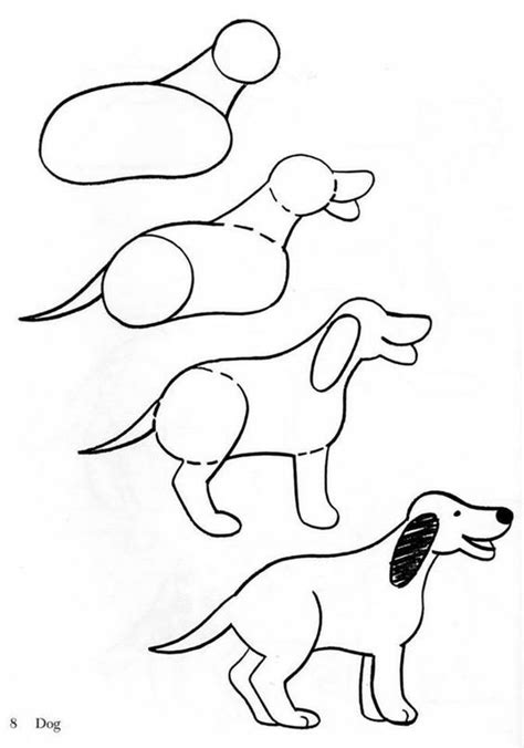 Crteži Olovke Za Početnike životinje U Fazama