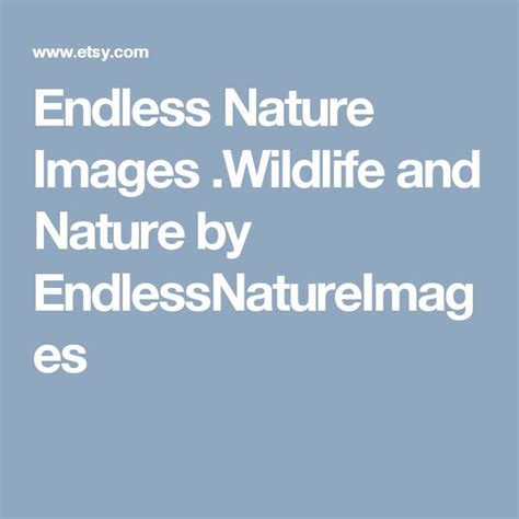 Endless Nature Images Wildlife And Nature By Endlessnatureimages